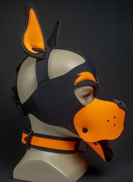 Mr. S Neoprene WOOF! Head Harness Orange