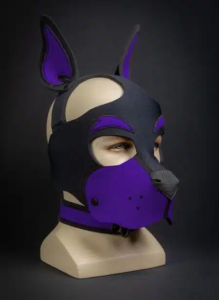 Mr. S Neoprene WOOF! Head Harness Purple