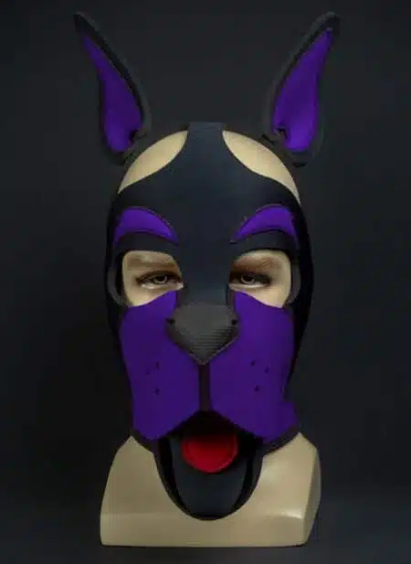 Mr. S Neoprene WOOF! Head Harness Purple