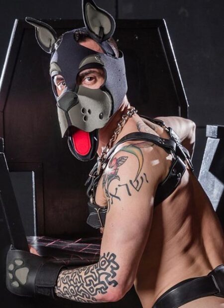 Mr. S Neoprene WOOF! Head Harness Grey