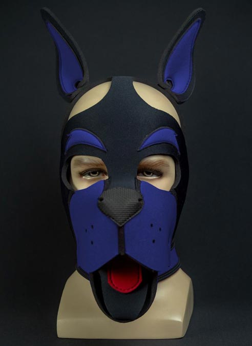Mr. S Neoprene WOOF! Head Harness Royal blue