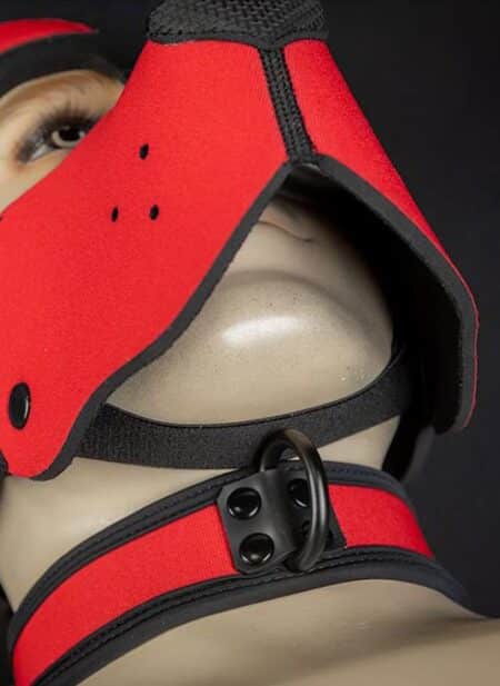 Mr. S Neoprene WOOF! Head Harness Red