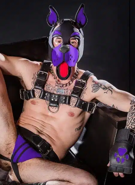 Mr. S Neoprene WOOF! Head Harness Purple