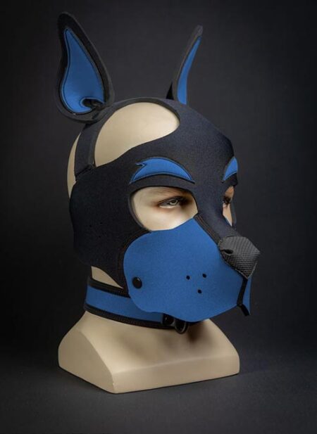 Mr. S Neoprene WOOF! Head Harness Cobalt blue