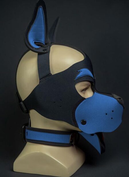 Mr. S Neoprene WOOF! Head Harness Cobalt blue
