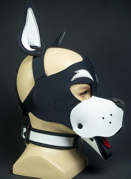 Mr. S Neoprene WOOF! Head Harness White