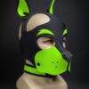 Mr. S Neoprene WOOF! Head Harness Lime