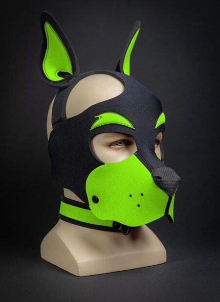Mr. S Neoprene WOOF! Head Harness Lime