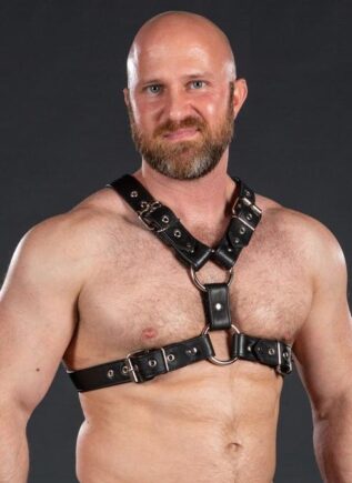 Mr. S Leather English Top Buckle Harness Garment Leather Small / Medium