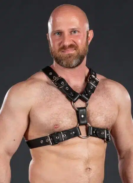 Mr. S Leather English Top Buckle Harness Garment Leather Small / Medium