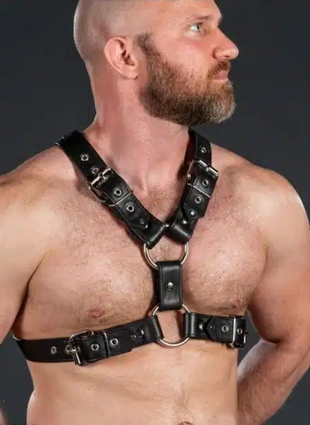 Mr. S Leather English Top Buckle Harness Garment Leather Small / Medium