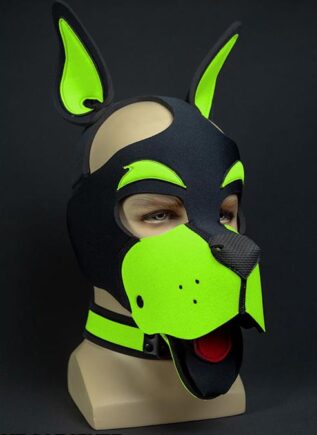 Mr. S Neoprene WOOF! Head Harness Lime