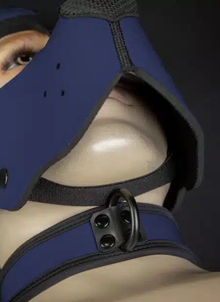 Mr. S Neoprene WOOF! Head Harness Navy