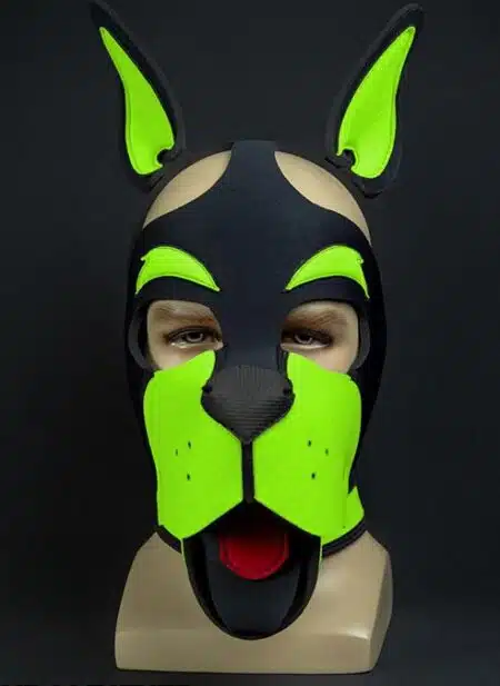 Mr. S Neoprene WOOF! Head Harness Lime