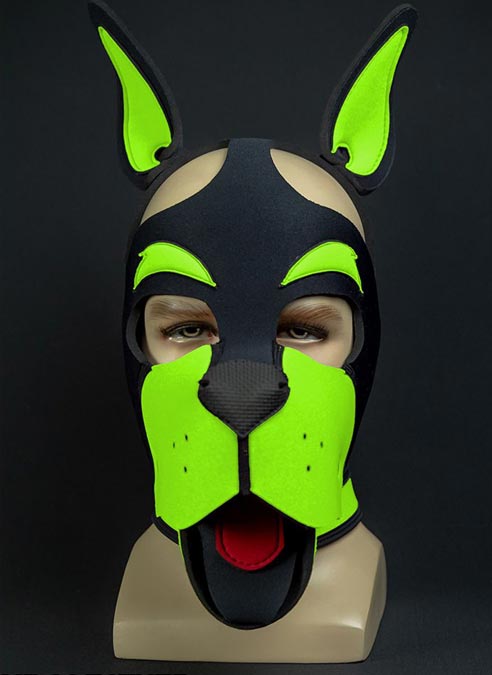 Mr. S Neoprene WOOF! Head Harness Lime