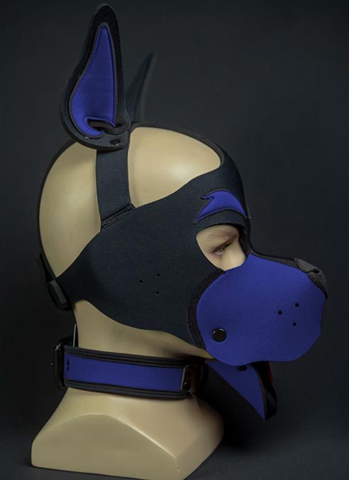Mr. S Neoprene WOOF! Head Harness Royal blue
