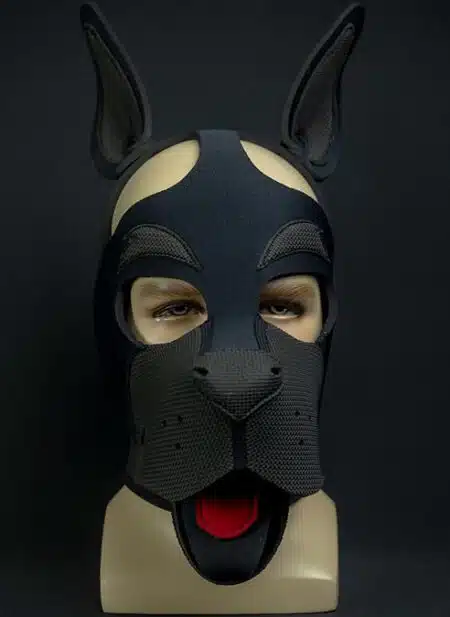 Mr. S Neoprene WOOF! Head Harness Black