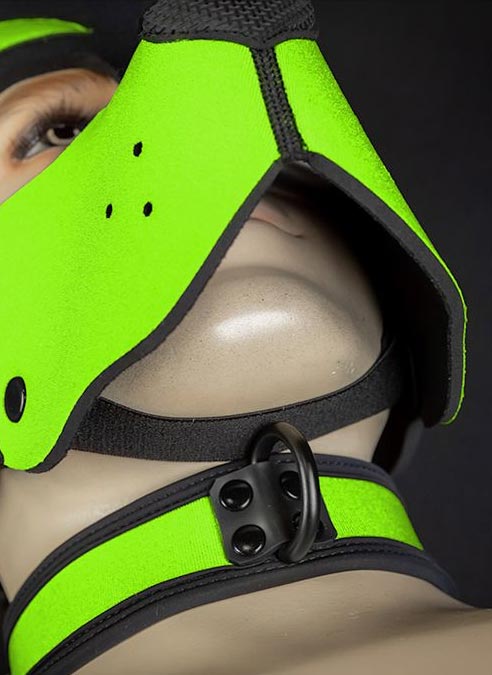Mr. S Neoprene WOOF! Head Harness Lime