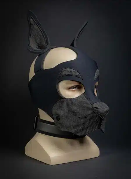 Mr. S Neoprene WOOF! Head Harness Black