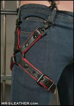 Mr. S Leather Leg Harness Camo