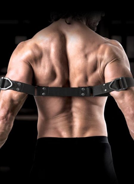 Command by Sir Richard's Bicep Binder