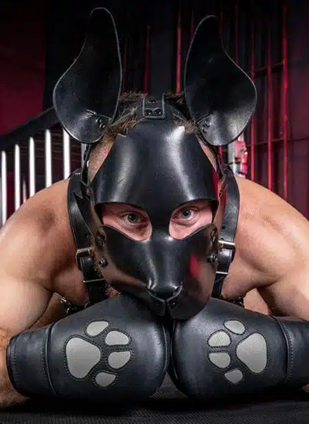 Mr. S Leather Padded K9 Mitts Grey