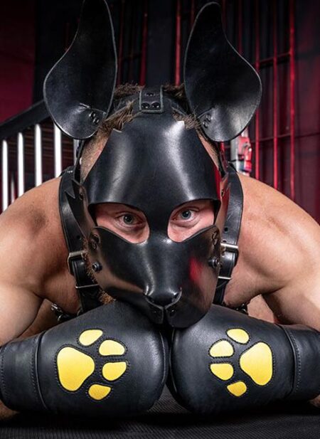 Mr. S Leather Padded K9 Mitts Yellow