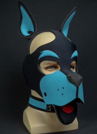 Mr. S Neoprene WOOF! Head Harness Aqua