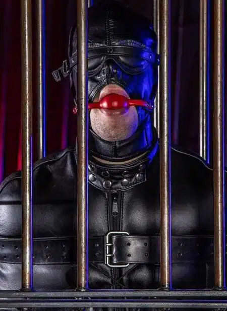 Mr. S Leather Deluxe Ball Gag Red 1,75 inch