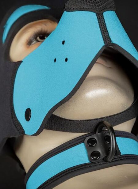 Mr. S Neoprene WOOF! Head Harness Aqua