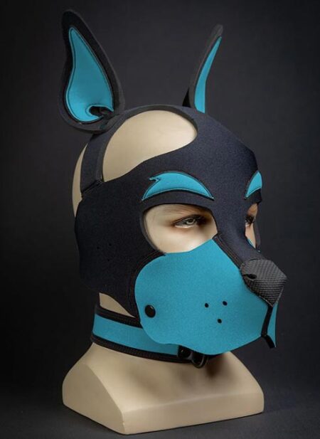 Mr. S Neoprene WOOF! Head Harness Aqua