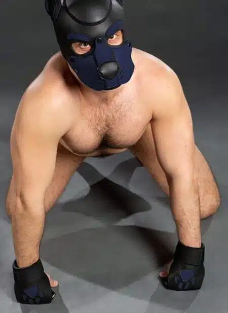 Mr. S Leather Open Paw Puppy Glove Navy