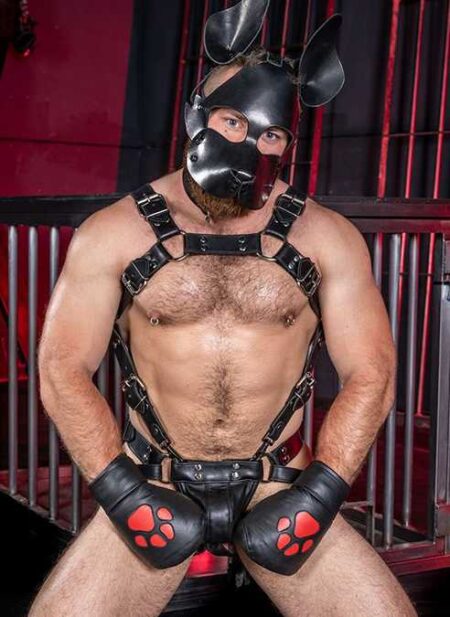 Mr. S Leather Padded K9 Mitts Red