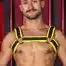 Mr. S Neo Carbon Black Bulldog Harness Yellow Large / Extra large