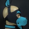 Mr. S Neoprene WOOF! Head Harness Aqua