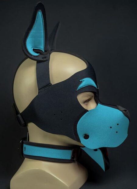 Mr. S Neoprene WOOF! Head Harness Aqua