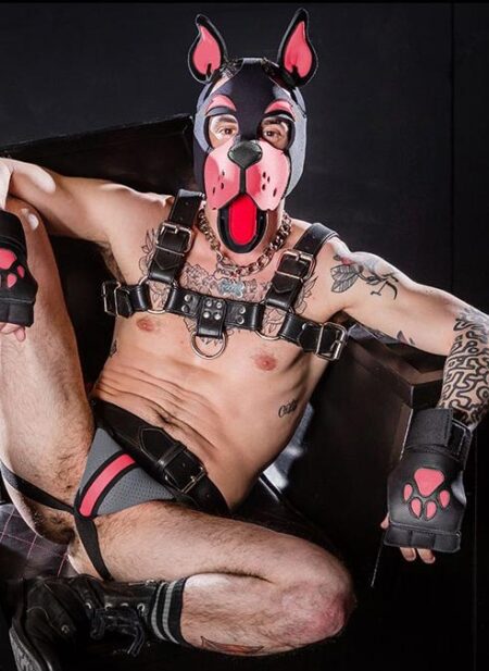 Mr. S Neoprene WOOF! Head Harness Pink
