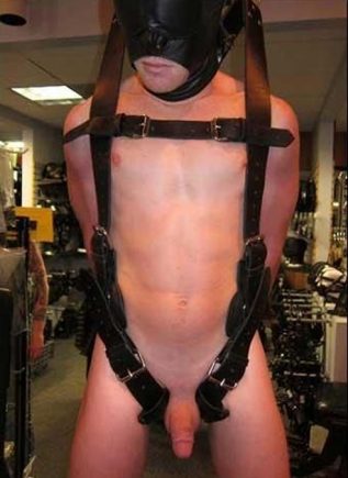 Mr. S Leather Suspension Harness