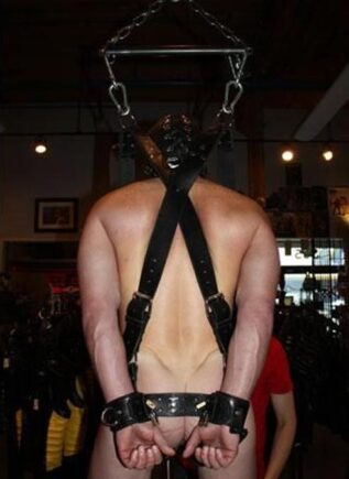 Mr. S Leather Suspension Harness