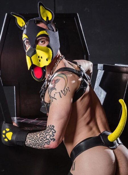 Mr. S Neoprene WOOF! Head Harness Yellow