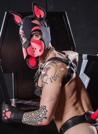 Mr. S Neoprene WOOF! Head Harness Pink