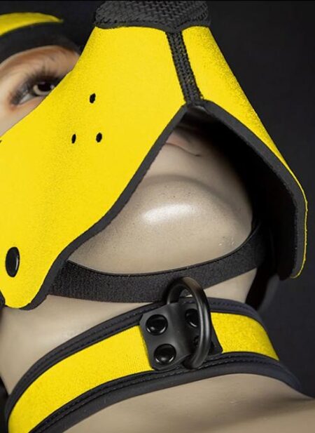 Mr. S Neoprene WOOF! Head Harness Yellow