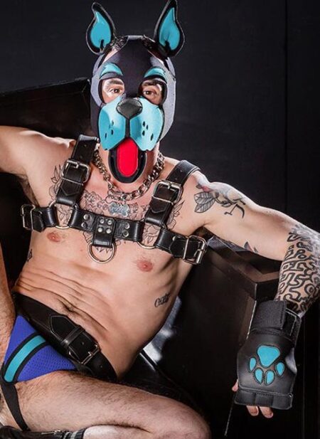 Mr. S Leather Open Paw Puppy Glove Aqua