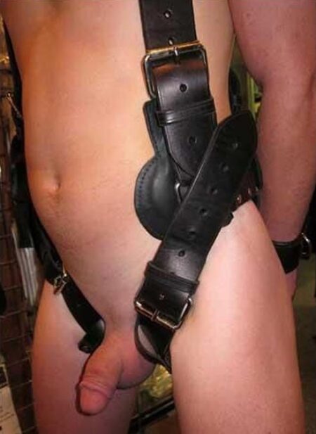 Mr. S Leather Suspension Harness