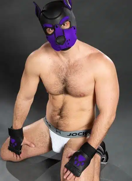 Mr. S Leather Open Paw Puppy Glove Purple