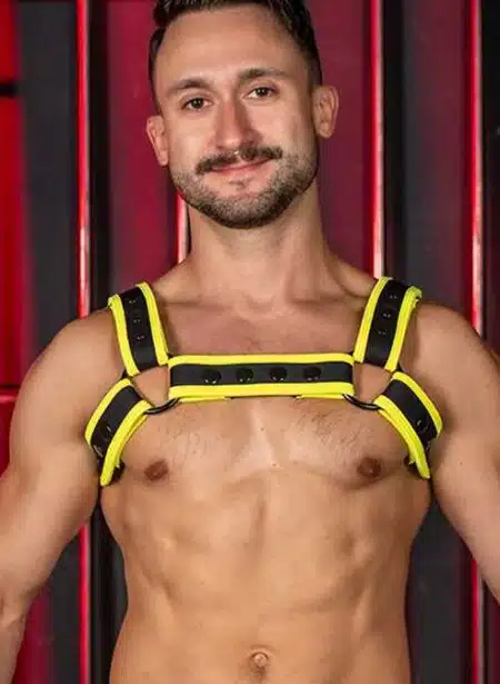 Mr. S Neo Carbon Black Bulldog Harness Yellow Large / Extra large