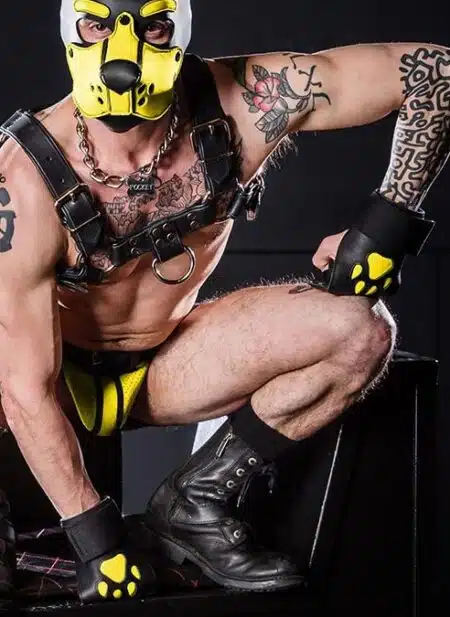 Mr. S Leather Open Paw Puppy Glove Yellow