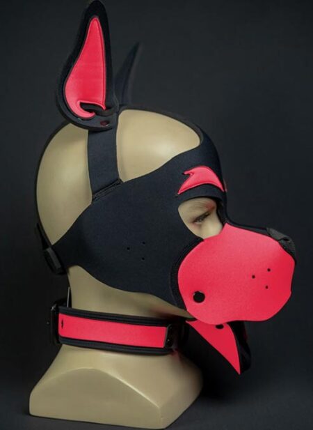 Mr. S Neoprene WOOF! Head Harness Pink