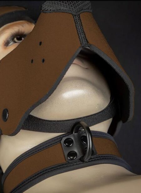 Mr. S Neoprene WOOF! Head Harness Brown