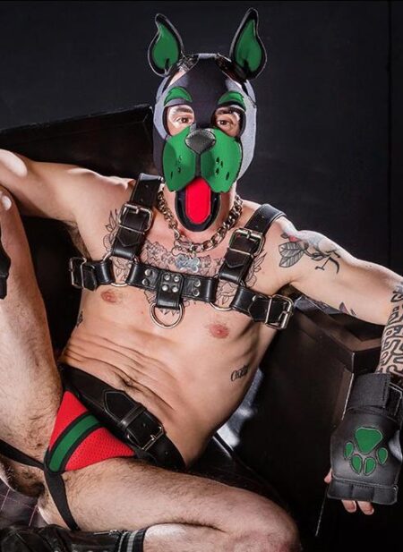 Mr. S Neoprene WOOF! Head Harness Hunter